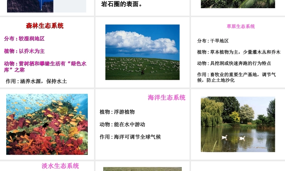 安徽省合肥市长丰县七年级生物上册 1.2.3《生物圈是最大的生态系统》课件1 （新版）新人教版-（新版）新人教版初中七年级上册生物课件