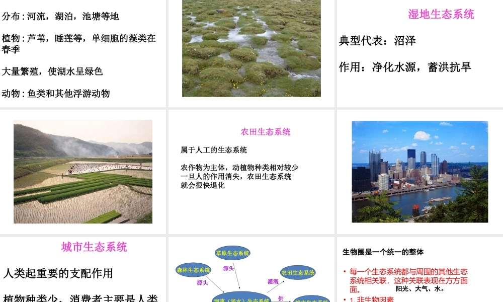 安徽省合肥市长丰县七年级生物上册 1.2.3《生物圈是最大的生态系统》课件1 （新版）新人教版-（新版）新人教版初中七年级上册生物课件