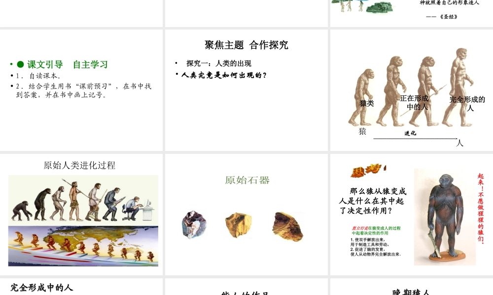 安徽省淮南市九年级历史上册 第一单元 第1课 人类的形成课件 新人教版-新人教版初中九年级上册历史课件