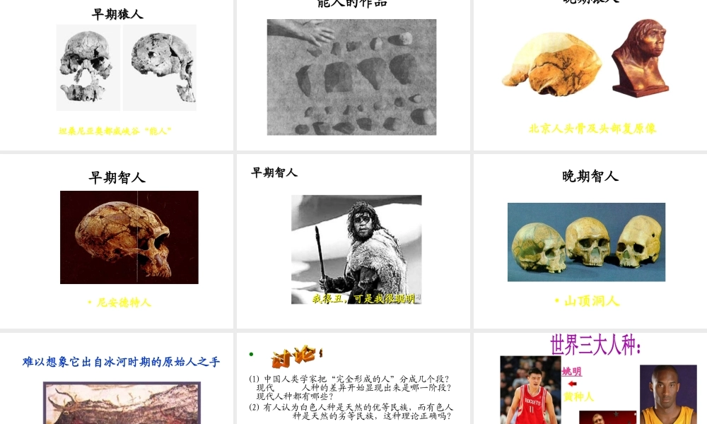 安徽省淮南市九年级历史上册 第一单元 第1课 人类的形成课件 新人教版-新人教版初中九年级上册历史课件