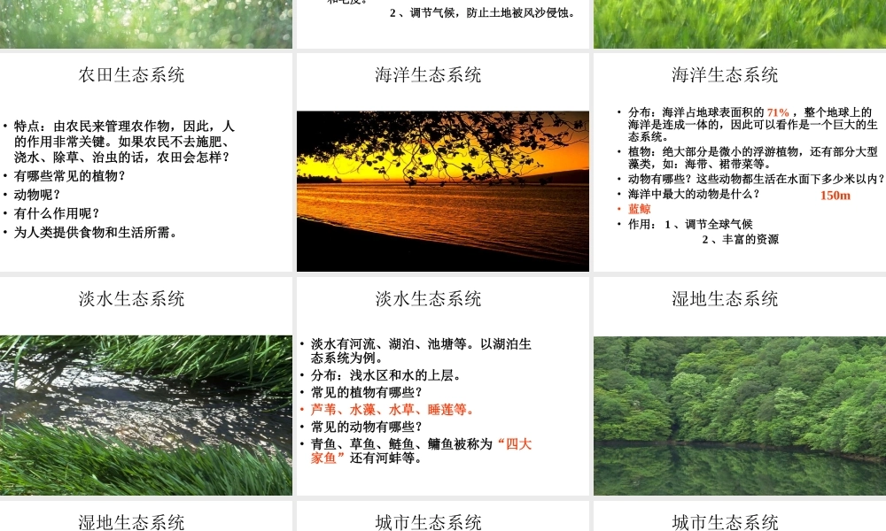 安徽省合肥市长丰县七年级生物上册 1.2.3《生物圈是最大的生态系统》课件2 （新版）新人教版-（新版）新人教版初中七年级上册生物课件