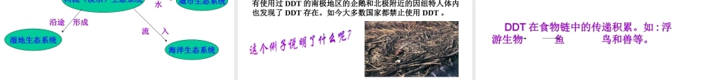 安徽省合肥市长丰县七年级生物上册 1.2.3《生物圈是最大的生态系统》课件2 （新版）新人教版-（新版）新人教版初中七年级上册生物课件