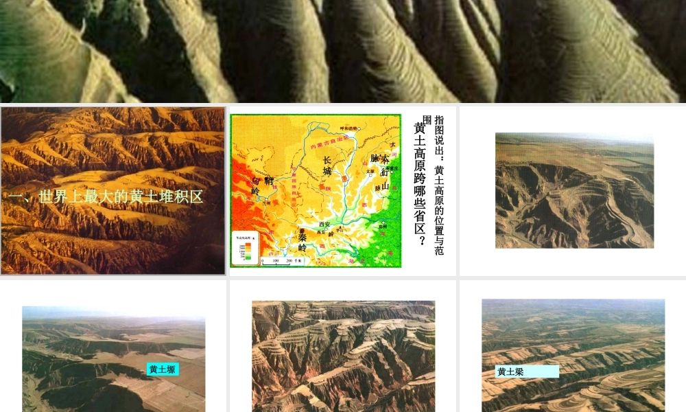 安徽省阜南县三塔中学八年级地理下册 第八章 第一节 沟壑纵横的特殊地形区—黄土高原课件（1） 新人教版