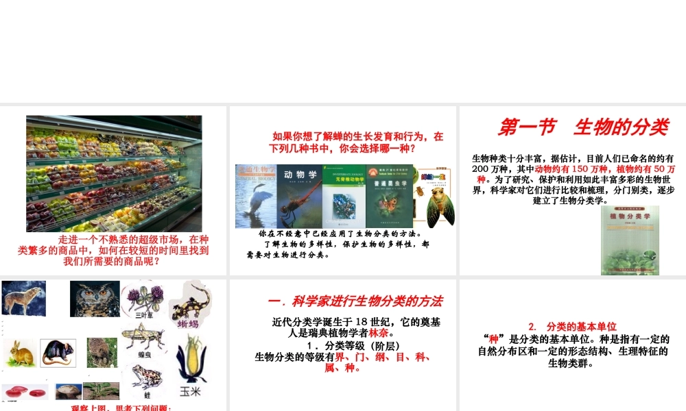 安徽省界首市崇文中学八年级生物下册 第22章 第1节 生物的分类课件 北师大版
