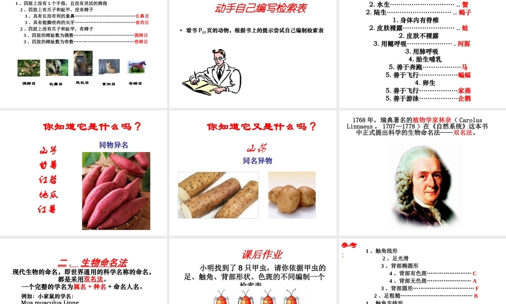 安徽省界首市崇文中学八年级生物下册 第22章 第1节 生物的分类课件 北师大版