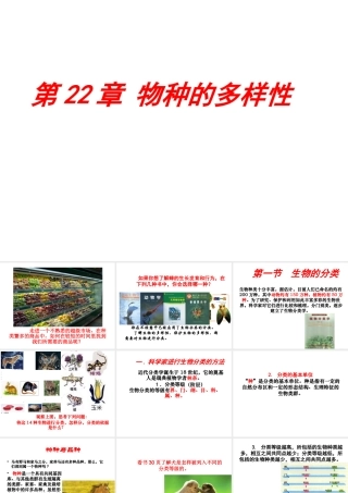 安徽省界首市崇文中学八年级生物下册 第22章 第1节 生物的分类课件 北师大版