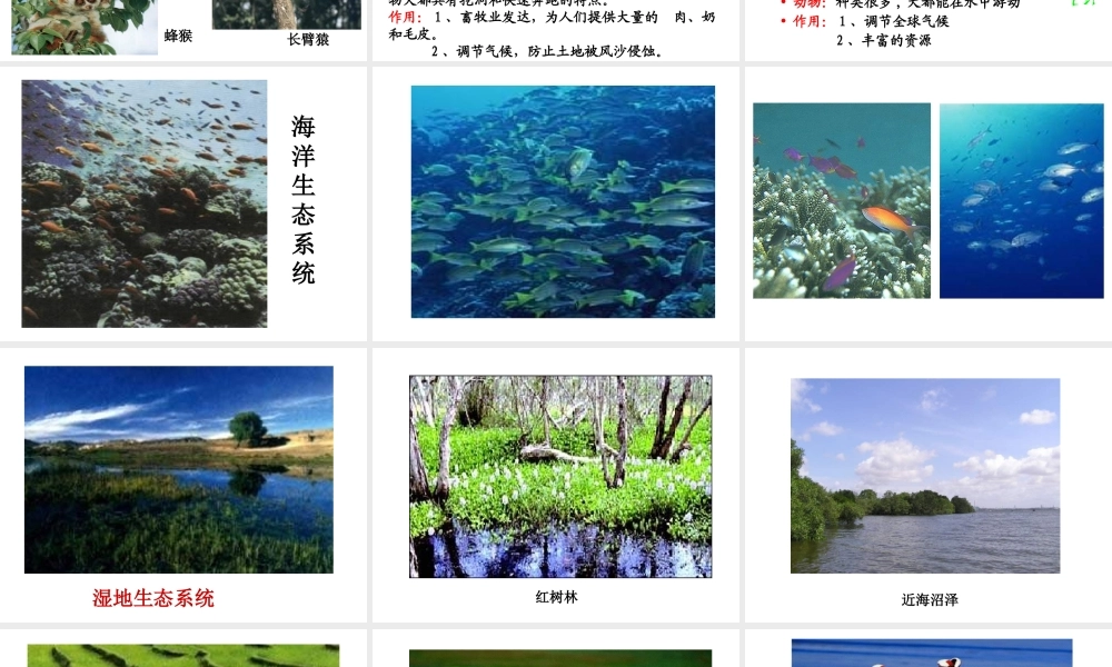 安徽省合肥市长丰县七年级生物上册 1.2.3《生物圈是最大的生态系统》课件4 （新版）新人教版-（新版）新人教版初中七年级上册生物课件