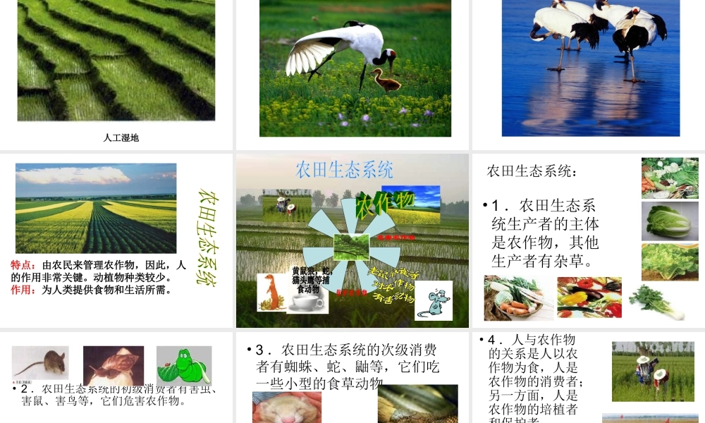 安徽省合肥市长丰县七年级生物上册 1.2.3《生物圈是最大的生态系统》课件4 （新版）新人教版-（新版）新人教版初中七年级上册生物课件