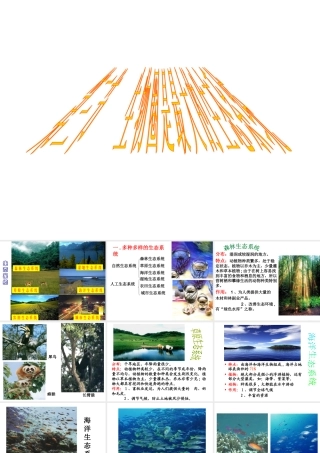 安徽省合肥市长丰县七年级生物上册 1.2.3《生物圈是最大的生态系统》课件4 （新版）新人教版-（新版）新人教版初中七年级上册生物课件