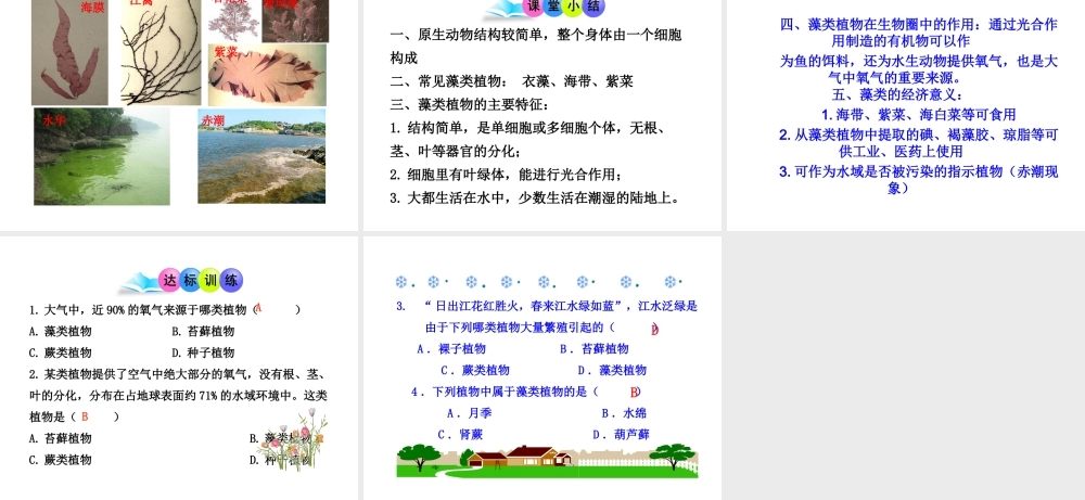 安徽省界首市崇文中学八年级生物下册 第22章 第2节 原生生物的主要类群课件 北师大版