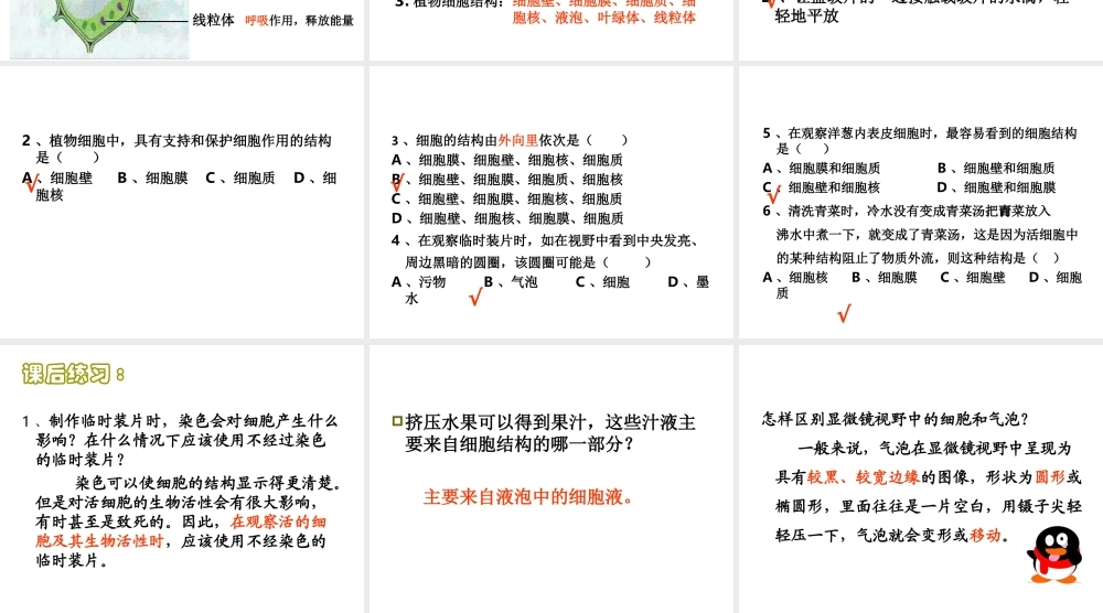 安徽省合肥市长丰县七年级生物上册 2.1.2 植物细胞课件1 （新版）新人教版-（新版）新人教版初中七年级上册生物课件