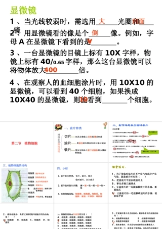 安徽省合肥市长丰县七年级生物上册 2.1.2 植物细胞课件1 （新版）新人教版-（新版）新人教版初中七年级上册生物课件