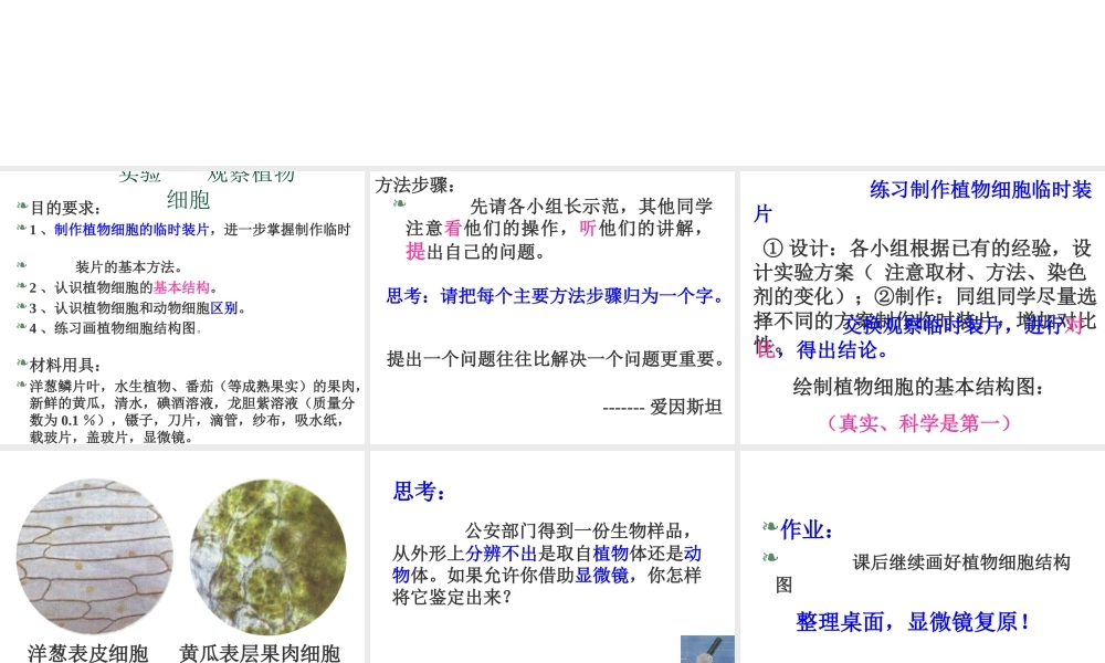 安徽省合肥市长丰县七年级生物上册 2.1.2 植物细胞课件2 （新版）新人教版-（新版）新人教版初中七年级上册生物课件