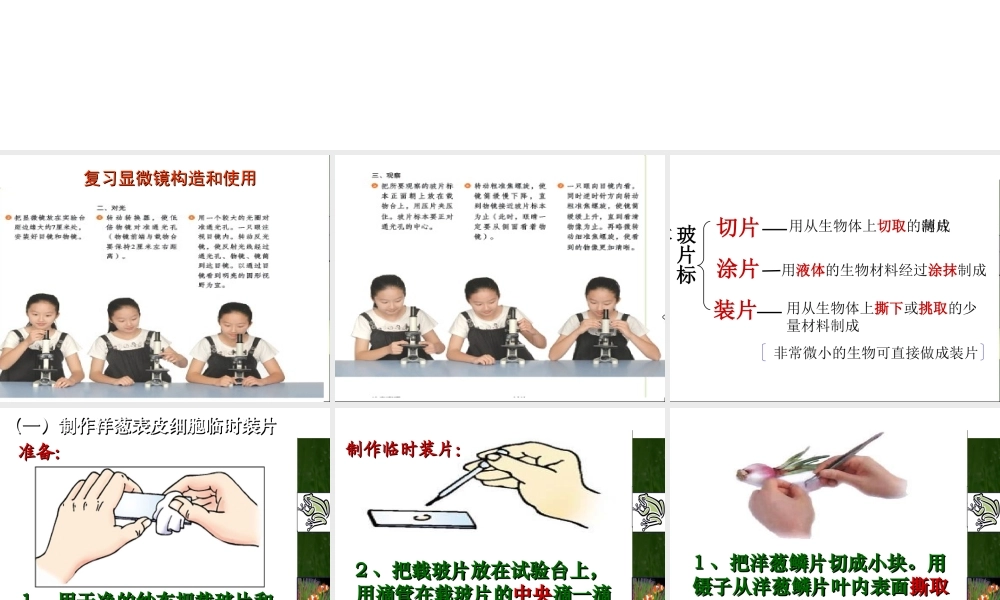 安徽省合肥市长丰县七年级生物上册 2.1.2 植物细胞课件3 （新版）新人教版-（新版）新人教版初中七年级上册生物课件