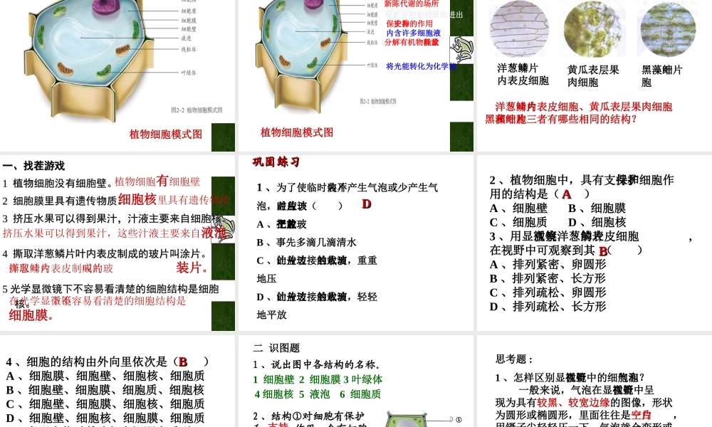 安徽省合肥市长丰县七年级生物上册 2.1.2 植物细胞课件3 （新版）新人教版-（新版）新人教版初中七年级上册生物课件