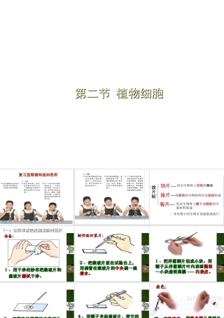 安徽省合肥市长丰县七年级生物上册 2.1.2 植物细胞课件3 （新版）新人教版-（新版）新人教版初中七年级上册生物课件