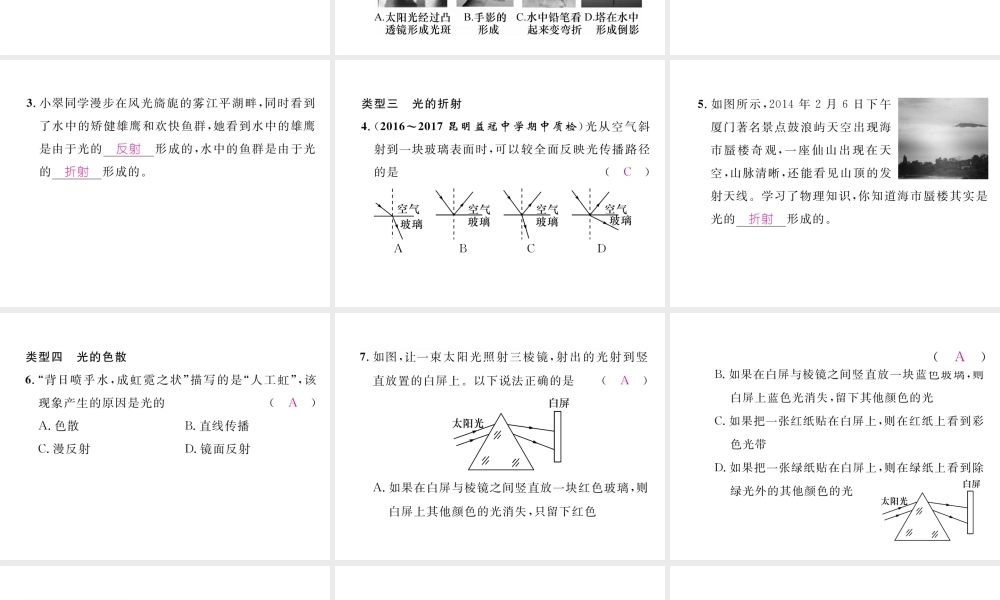 （云南专版）秋八年级物理全册 专题四 四种光现象的判定作业课件 （新版）沪科版-（新版）沪科版初中八年级全册物理课件