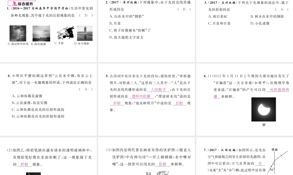 （云南专版）秋八年级物理全册 专题四 四种光现象的判定作业课件 （新版）沪科版-（新版）沪科版初中八年级全册物理课件