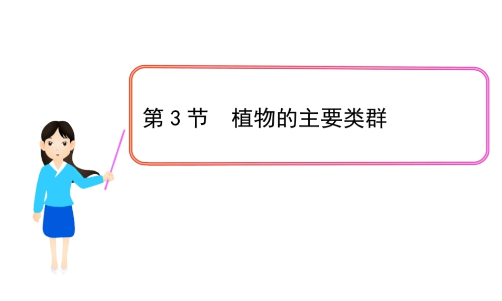 安徽省界首市崇文中学八年级生物下册 第22章 第3节 植物的主要类群课件 北师大版