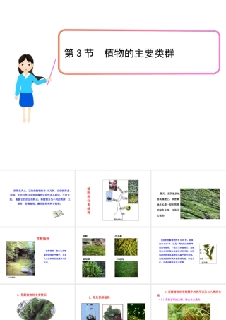 安徽省界首市崇文中学八年级生物下册 第22章 第3节 植物的主要类群课件 北师大版