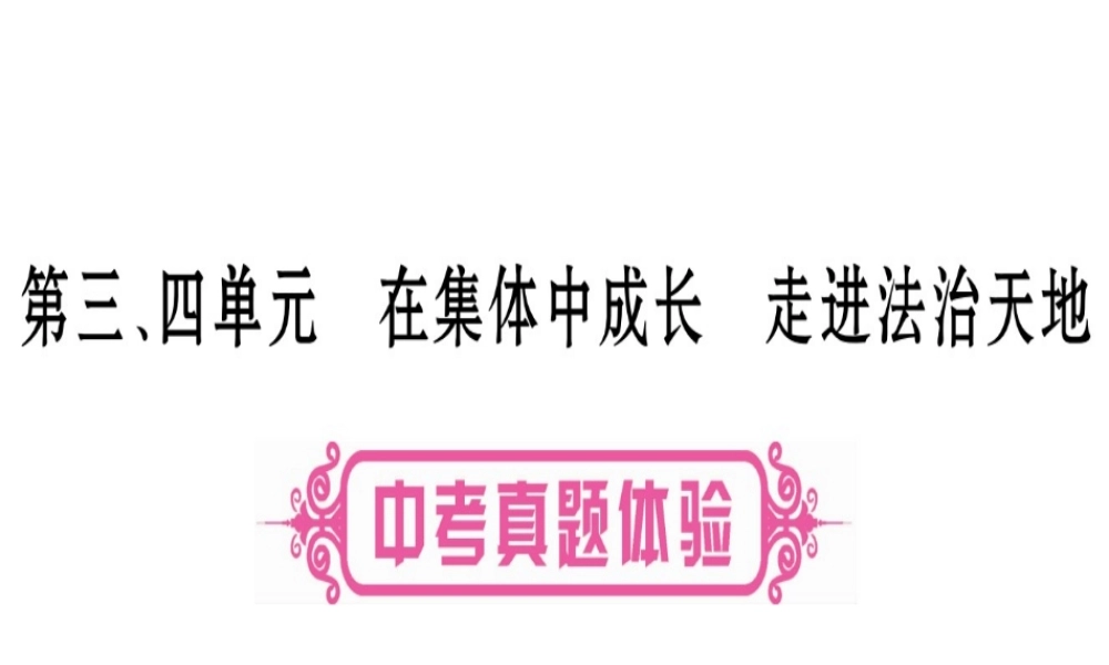 （云南专版）中考道德与法治总复习 第1篇 真题体验 满分演练 七下 第3 4单元 在集体中成长 走进法治天地课件-人教版初中九年级全册政治课件