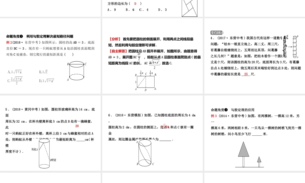 （东营专版）中考数学复习 第四章 几何初步与三角形 第五节 直角三角形课件-人教版初中九年级全册数学课件