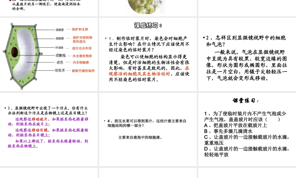 安徽省合肥市长丰县七年级生物上册 2.1.2 植物细胞课件4 （新版）新人教版-（新版）新人教版初中七年级上册生物课件