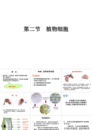 安徽省合肥市长丰县七年级生物上册 2.1.2 植物细胞课件4 （新版）新人教版-（新版）新人教版初中七年级上册生物课件