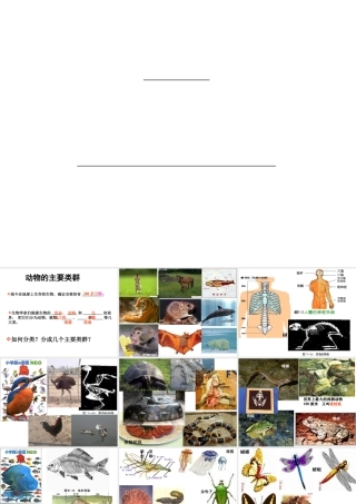 安徽省界首市崇文中学八年级生物下册 第22章 第4节 动物的主要类群课件 北师大版