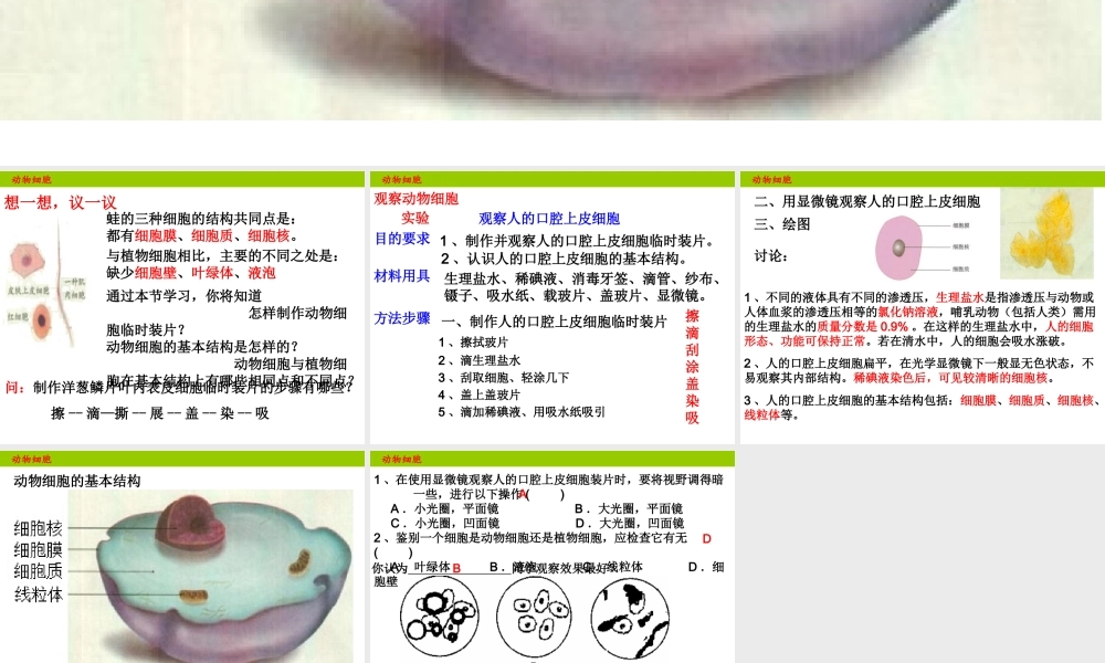 安徽省合肥市长丰县七年级生物上册 2.1.3 动物细胞课件1 （新版）新人教版-（新版）新人教版初中七年级上册生物课件