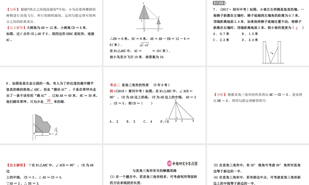 （东营专版）中考数学复习 第四章 几何初步与三角形 第五节 直角三角形课件-人教级全册数学课件