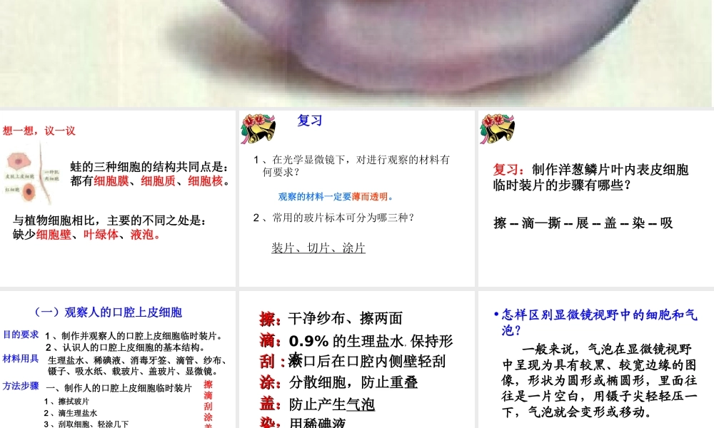 安徽省合肥市长丰县七年级生物上册 2.1.3 动物细胞课件2 （新版）新人教版-（新版）新人教版初中七年级上册生物课件