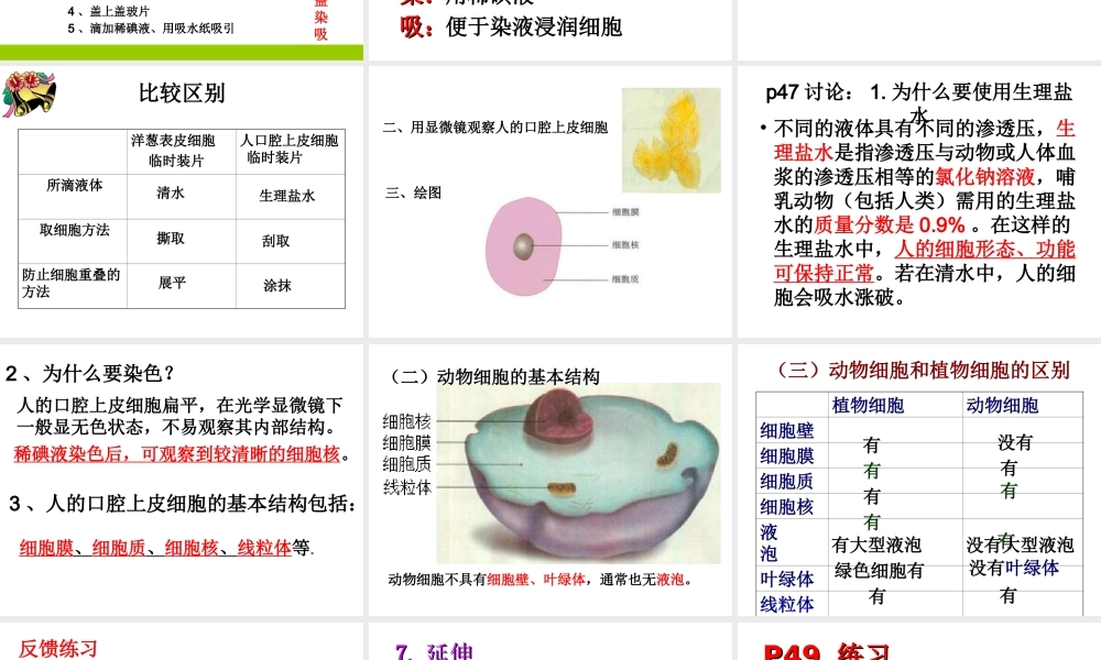 安徽省合肥市长丰县七年级生物上册 2.1.3 动物细胞课件2 （新版）新人教版-（新版）新人教版初中七年级上册生物课件