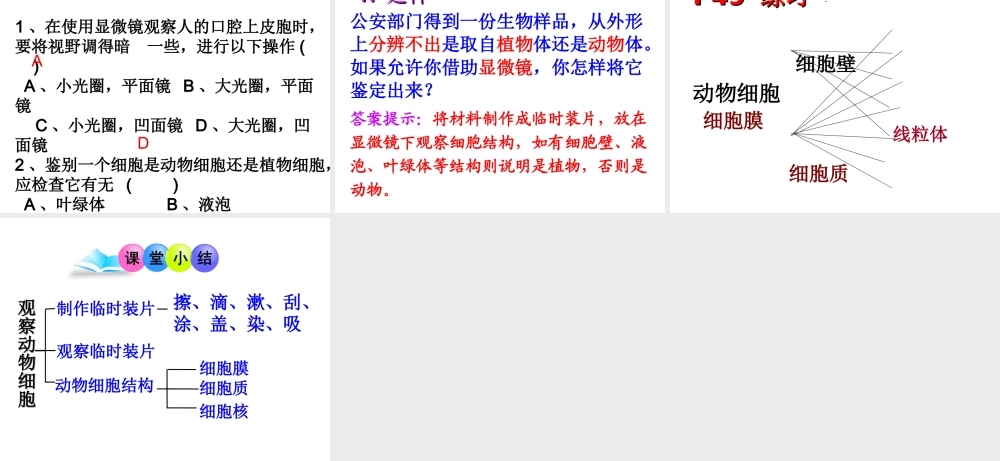 安徽省合肥市长丰县七年级生物上册 2.1.3 动物细胞课件2 （新版）新人教版-（新版）新人教版初中七年级上册生物课件