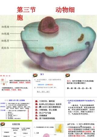 安徽省合肥市长丰县七年级生物上册 2.1.3 动物细胞课件2 （新版）新人教版-（新版）新人教版初中七年级上册生物课件