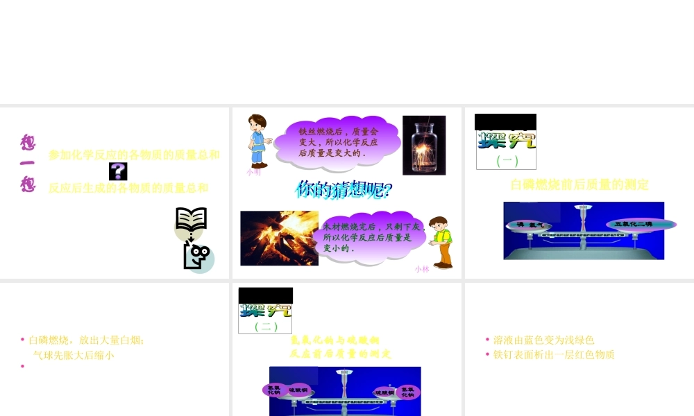 安徽省阜南县三塔中学九年级化学上册《质量守恒定律》课件2 新人教版