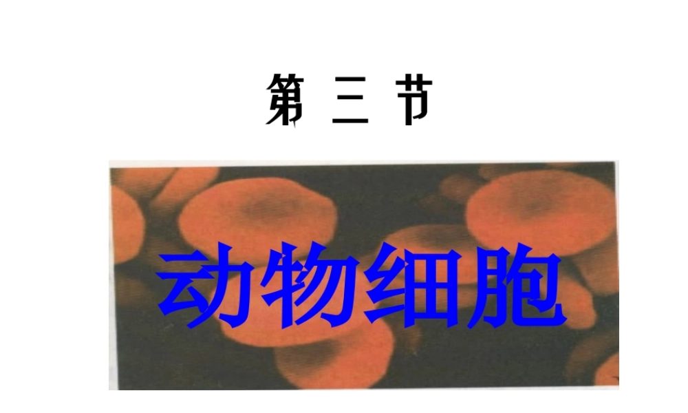 安徽省合肥市长丰县七年级生物上册 2.1.3 动物细胞课件3 （新版）新人教版-（新版）新人教版初中七年级上册生物课件