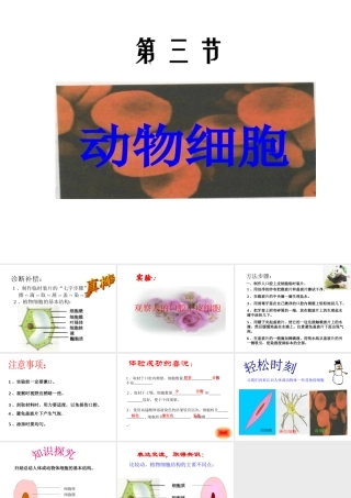 安徽省合肥市长丰县七年级生物上册 2.1.3 动物细胞课件3 （新版）新人教版-（新版）新人教版初中七年级上册生物课件
