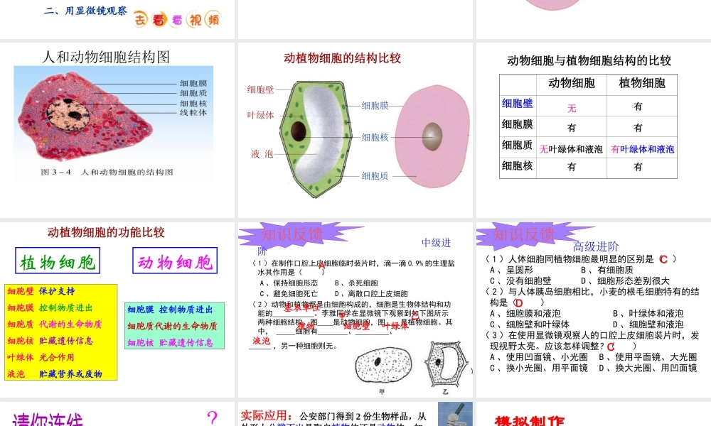 安徽省合肥市长丰县七年级生物上册 2.1.3 动物细胞课件4 （新版）新人教版-（新版）新人教版初中七年级上册生物课件