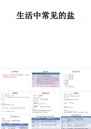 安徽省阜南县三塔中学九年级化学下册 11.1生活中常见的盐课件（1） （新版）新人教版