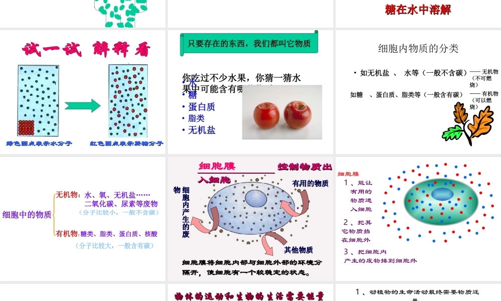 安徽省合肥市长丰县七年级生物上册 2.1.4《细胞的生活》课件1 （新版）新人教版-（新版）新人教版初中七年级上册生物课件