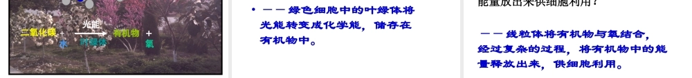 安徽省合肥市长丰县七年级生物上册 2.1.4《细胞的生活》课件1 （新版）新人教版-（新版）新人教版初中七年级上册生物课件