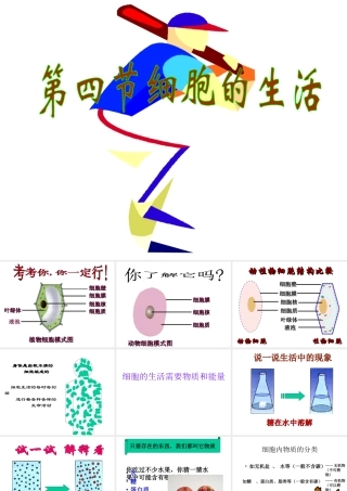 安徽省合肥市长丰县七年级生物上册 2.1.4《细胞的生活》课件1 （新版）新人教版-（新版）新人教版初中七年级上册生物课件
