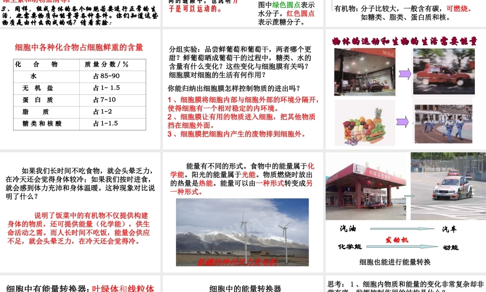 安徽省合肥市长丰县七年级生物上册 2.1.4《细胞的生活》课件2 （新版）新人教版-（新版）新人教版初中七年级上册生物课件