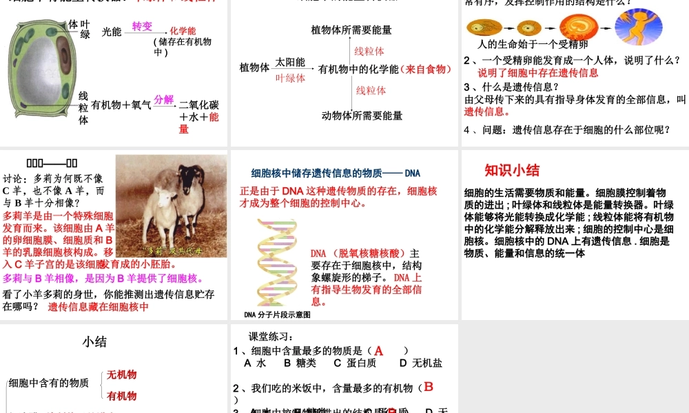 安徽省合肥市长丰县七年级生物上册 2.1.4《细胞的生活》课件2 （新版）新人教版-（新版）新人教版初中七年级上册生物课件