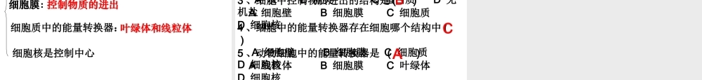安徽省合肥市长丰县七年级生物上册 2.1.4《细胞的生活》课件2 （新版）新人教版-（新版）新人教版初中七年级上册生物课件