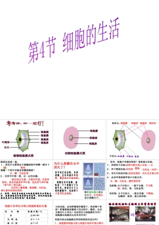 安徽省合肥市长丰县七年级生物上册 2.1.4《细胞的生活》课件2 （新版）新人教版-（新版）新人教版初中七年级上册生物课件