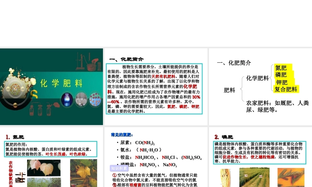 安徽省阜南县三塔中学九年级化学下册 11.2 化学肥料课件（1） （新版）新人教版