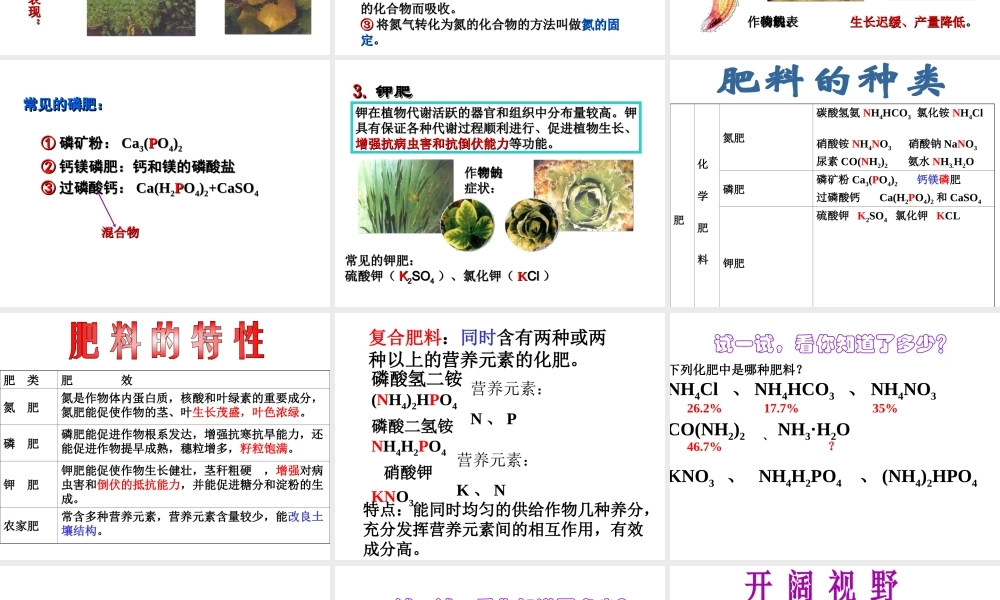 安徽省阜南县三塔中学九年级化学下册 11.2 化学肥料课件（1） （新版）新人教版