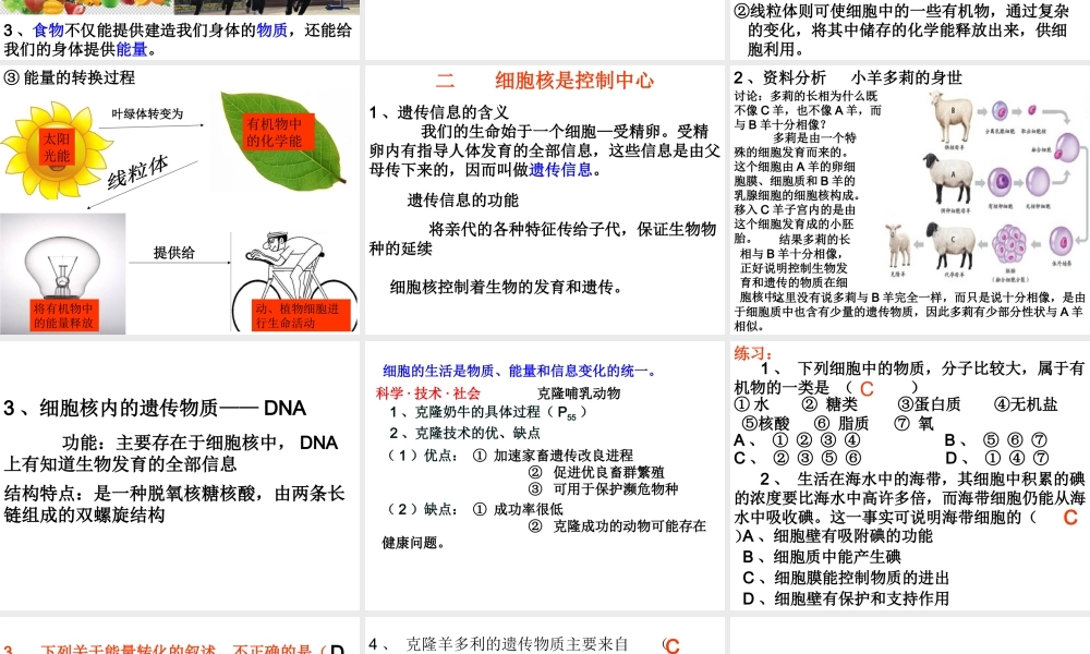 安徽省合肥市长丰县七年级生物上册 2.1.4《细胞的生活》课件3 （新版）新人教版-（新版）新人教版初中七年级上册生物课件
